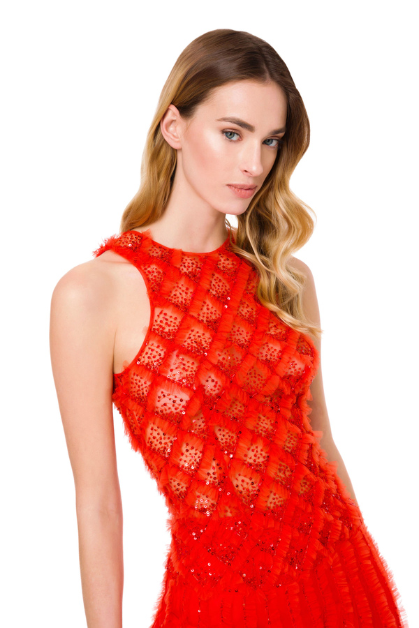 Vestido Red Carpet de tul bordado - Elisabetta Franchi® Outlet